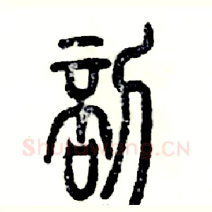 剖
