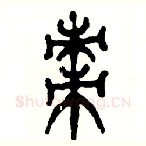 枣