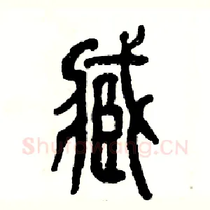 臧