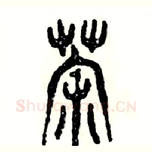 荼