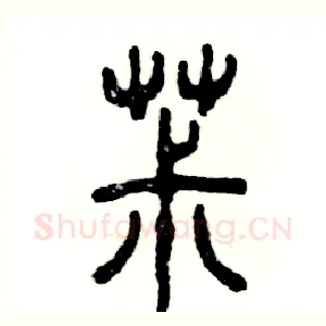 菽