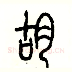 蝴
