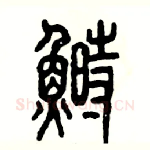 鲥