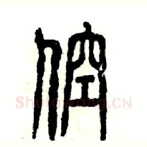 倥