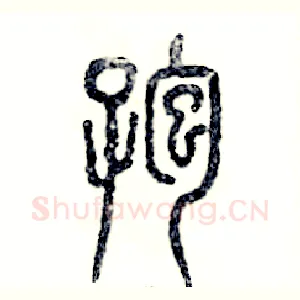 孢