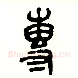 專