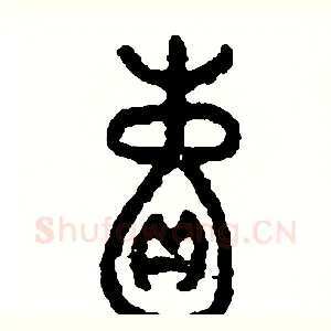 囊