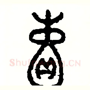 囊