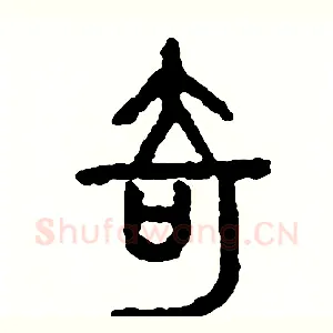 奇