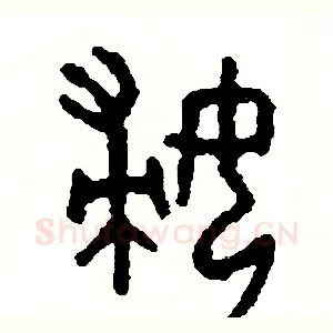 婦