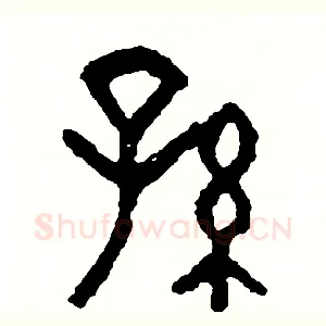 孫