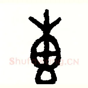 專
