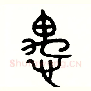 愚