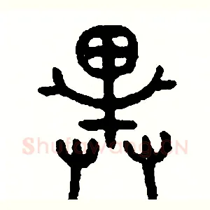 戴