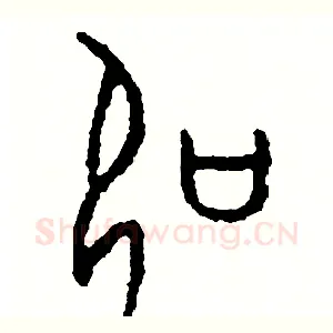 扣