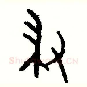 掃