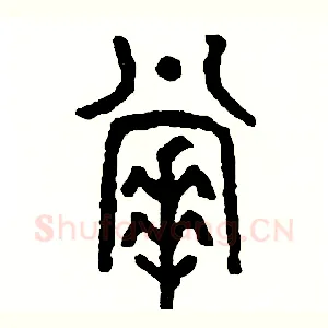 掌