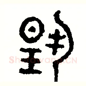 揚