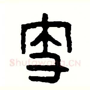 支