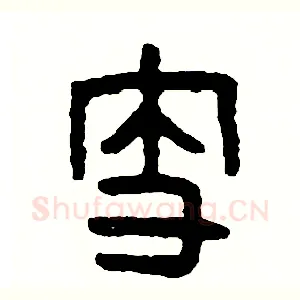 支