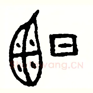 曬