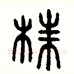 株
