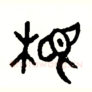 根