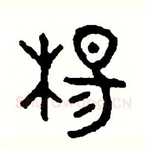 楊