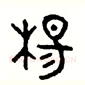 楊