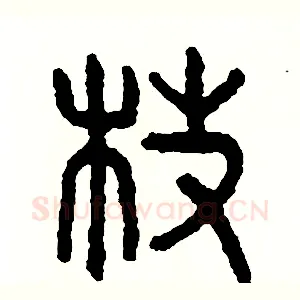 枝