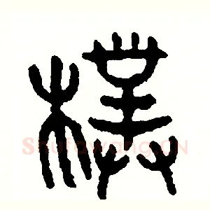 樸