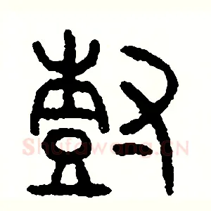 樹
