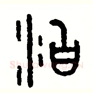 泊