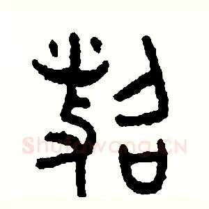照