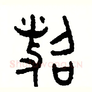照