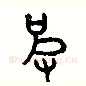 皮