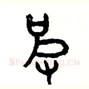 皮