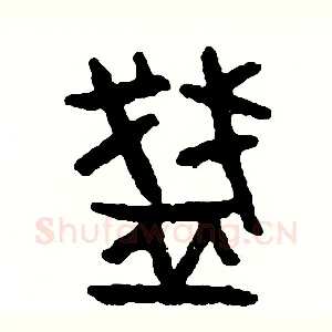 盞