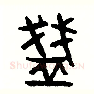 盞