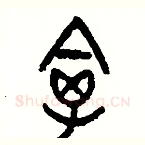 禽