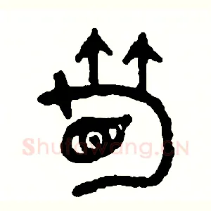 筍