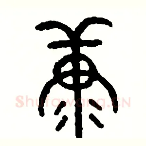 糠