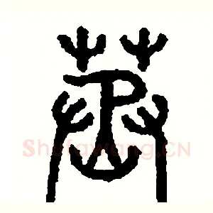 蒸