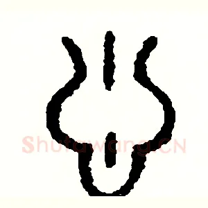 蔥