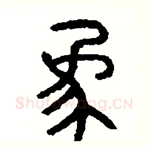 象